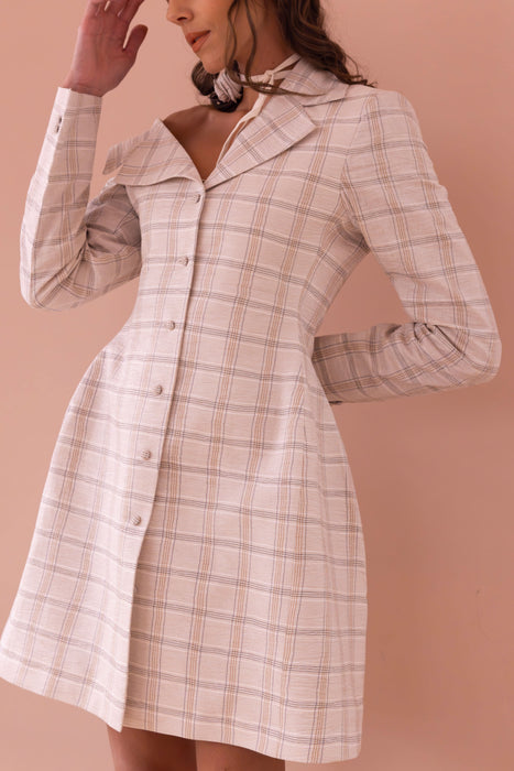 Hourglass Plaid Dress