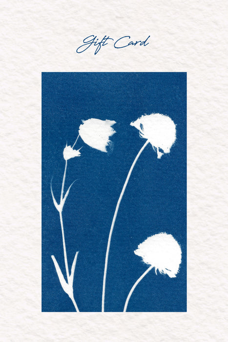Kochylia Gift Card